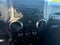 2014 Jeep Wrangler 4WD 2dr Sport