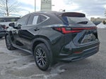 2023 Lexus NX 350 Premium AWD