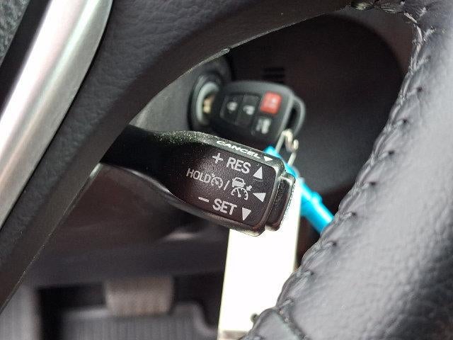 2019 Toyota Corolla SE CVT (Natl)
