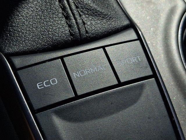 2023 Toyota Camry SE Auto (Natl)