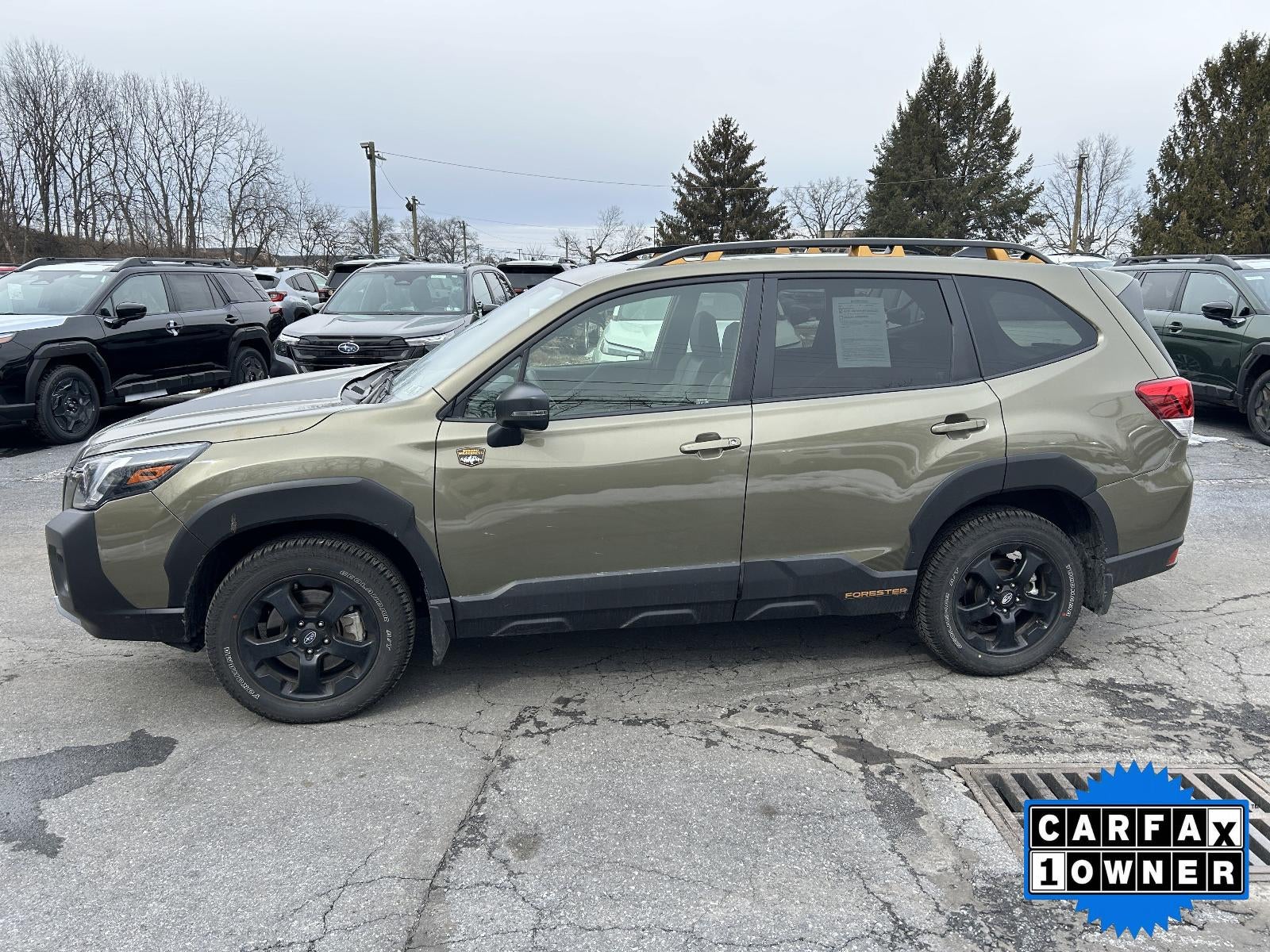 2025 Subaru Forester Wilderness CVT
