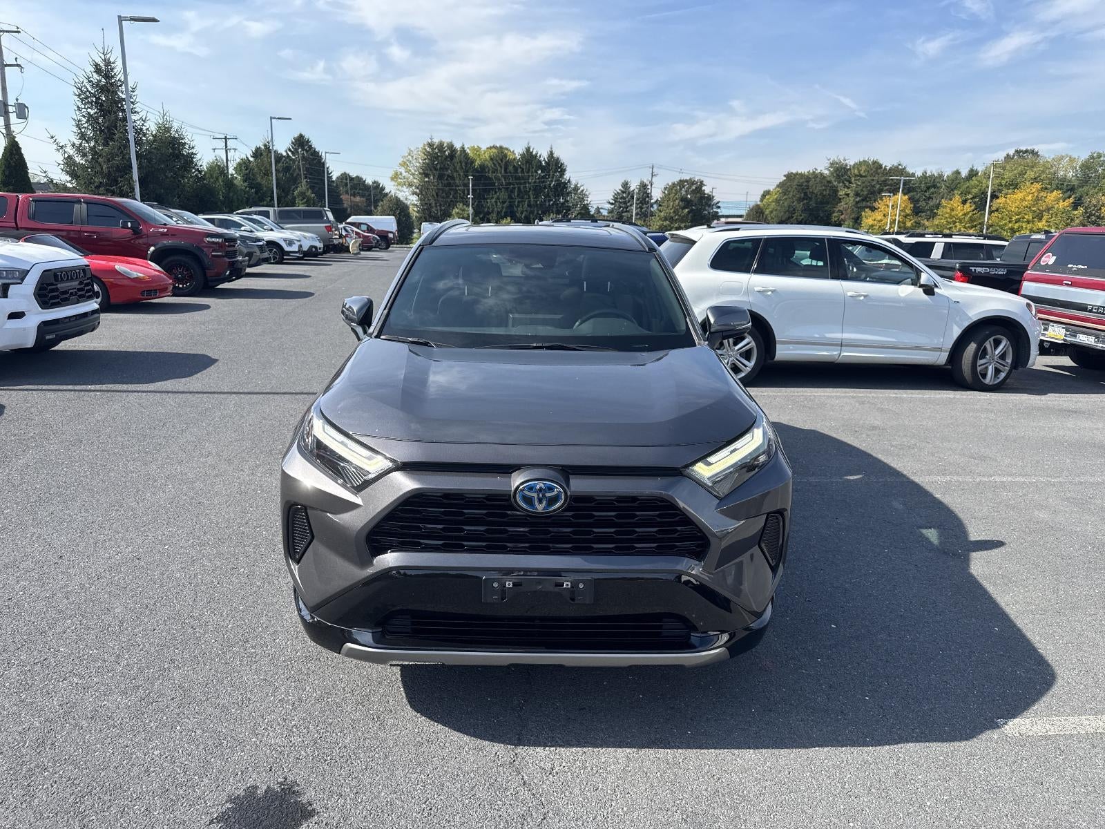 2024 Toyota RAV4 Hybrid SE AWD (Natl)