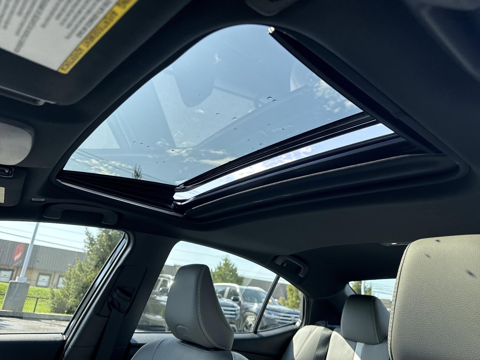 2025 Toyota Camry SE (SE)