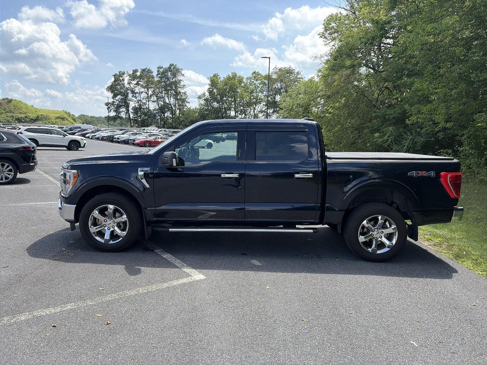 2023 Ford F-150 XLT 4WD SuperCrew 5.5' Box