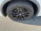 2022 Volkswagen Tiguan 2.0T SE R-Line Black 4MOTION