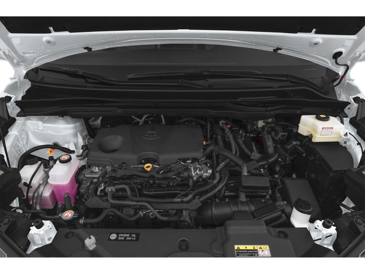 2025 Toyota Sienna XLE AWD 7-Passenger (Natl)