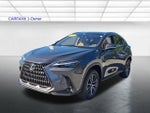 2025 Lexus NX 350h Luxury AWD