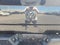 2018 RAM 1500 Big Horn 4x4 Crew Cab 5'7" Box