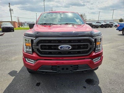 2021 Ford F-150 XLT 4WD SuperCrew 5.5' Box