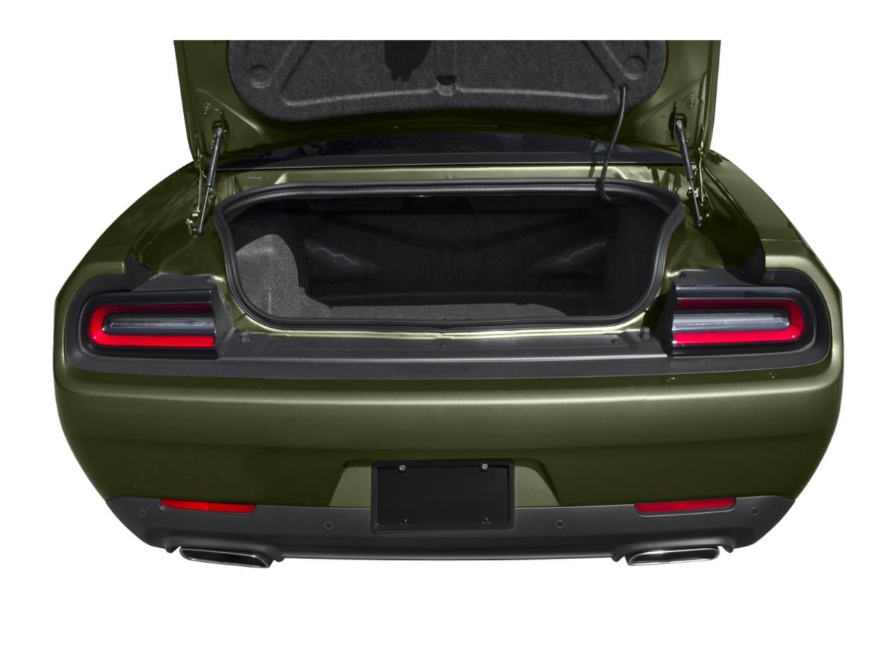 2019 Dodge Challenger R/T Scat Pack Widebody RWD