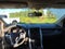 2011 Ford Edge 4dr Limited AWD