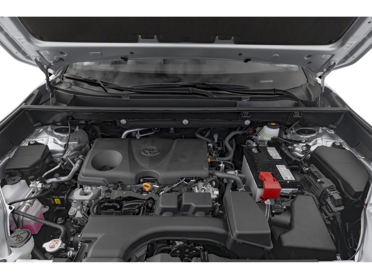 2025 Toyota RAV4 XLE AWD (Natl)