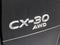 2022 Mazda Mazda CX-30 2.5 S Premium Package AWD