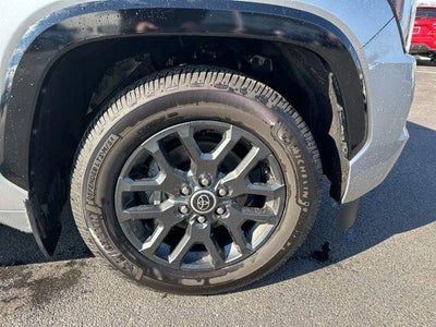 2023 Toyota Sequoia Platinum 4WD (Natl)