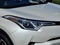 2019 Toyota C-HR XLE FWD (Natl)