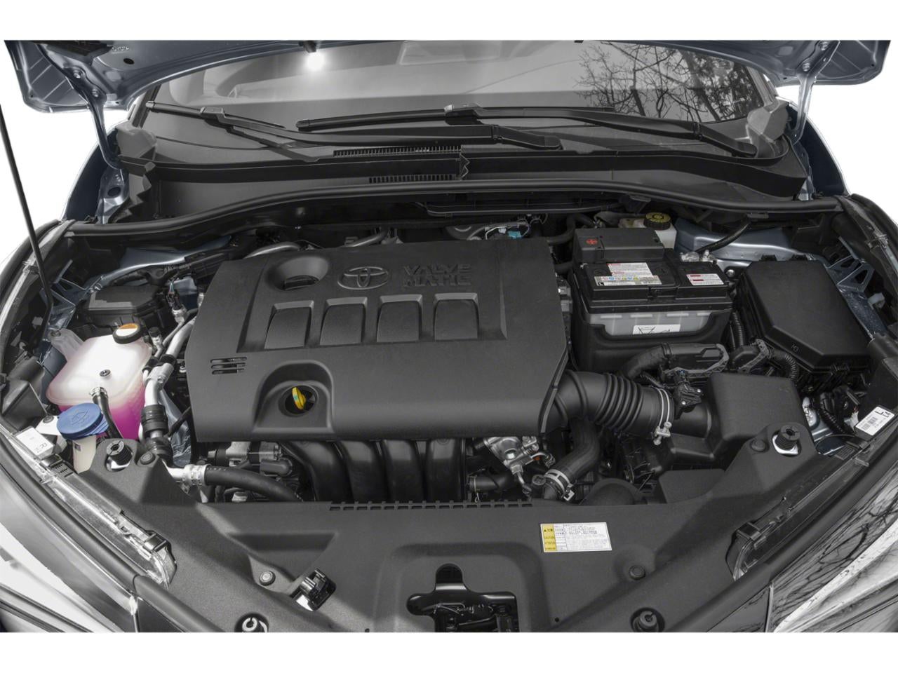 2019 Toyota C-HR XLE FWD (Natl)