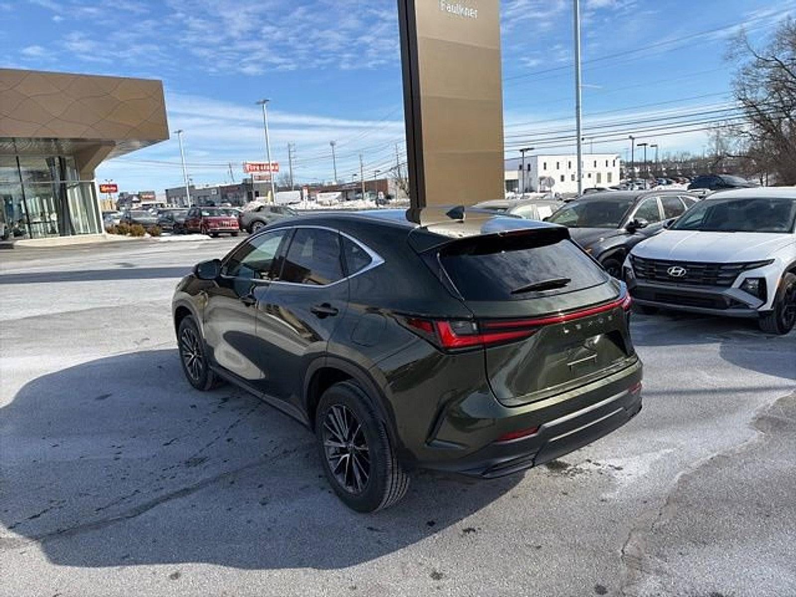 2024 Lexus NX 350 NX 350