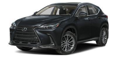 2024 Lexus NX 350 NX 350