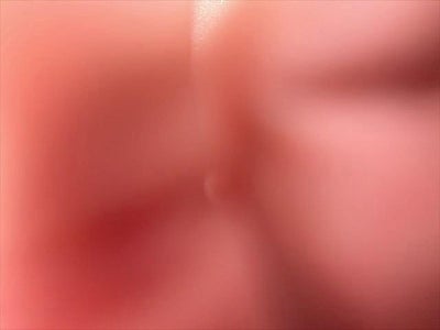 2020 Toyota Highlander Hybrid XLE